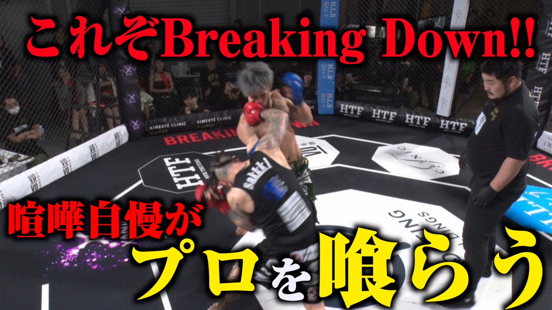 BreakingDown / ブレイキングダウン on X BreakingDown / ブレイキングダウン on X