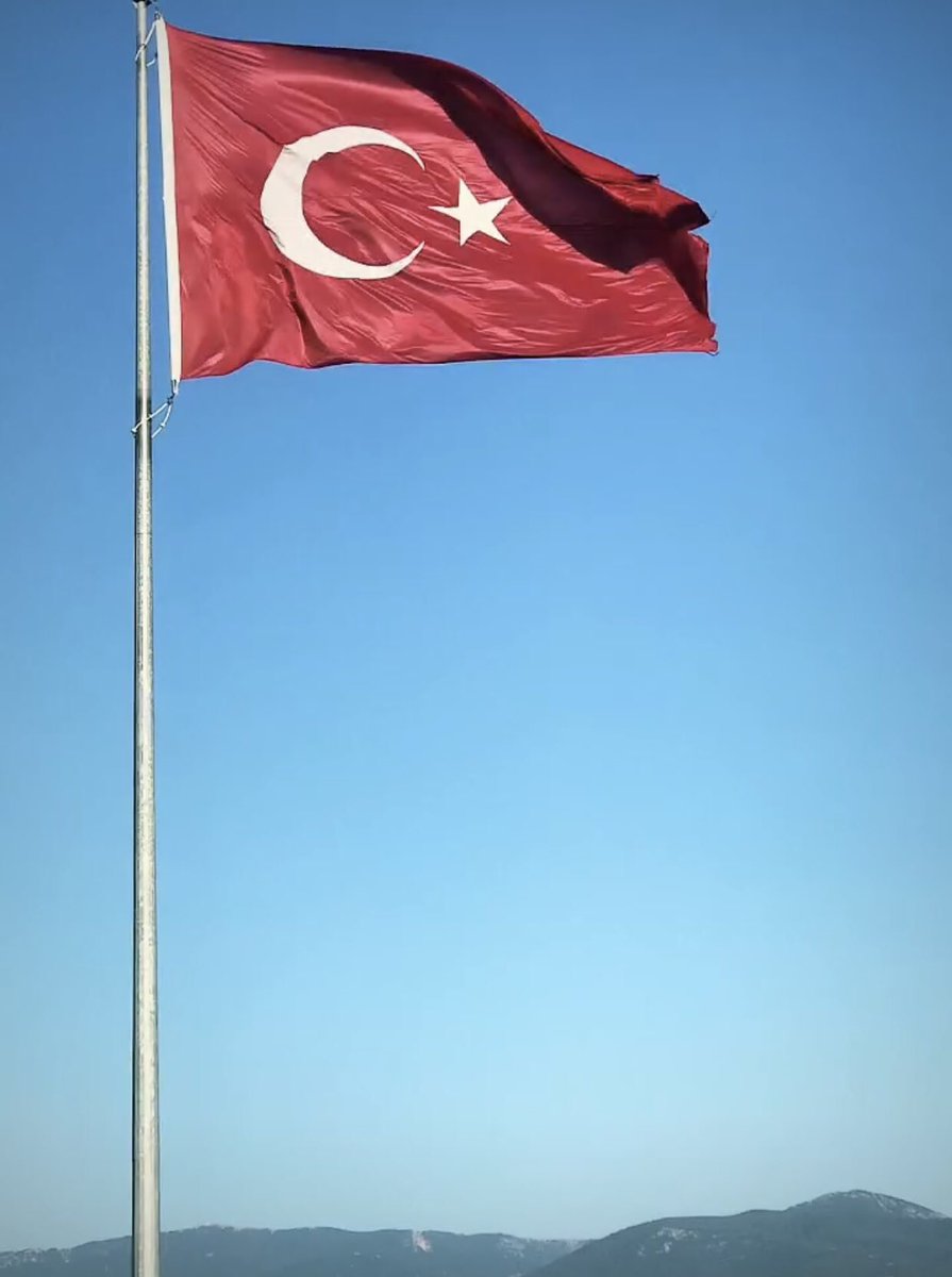 Devlet atını da tanır İti’nide..
Zamanı gelince Atı Nallamayı 
İti’de Bağlamayı iyi bilir.! 🫡