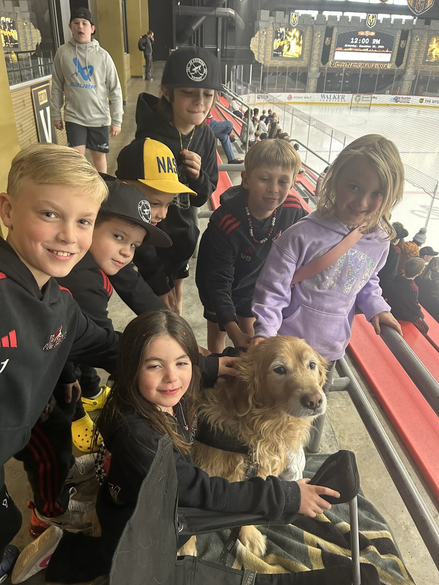Goldie_Vegas's tweet photo. Home sweet home. #awholeweek #goKnightsgo #loveGoldie https://t.co/RM0ADQXRTb