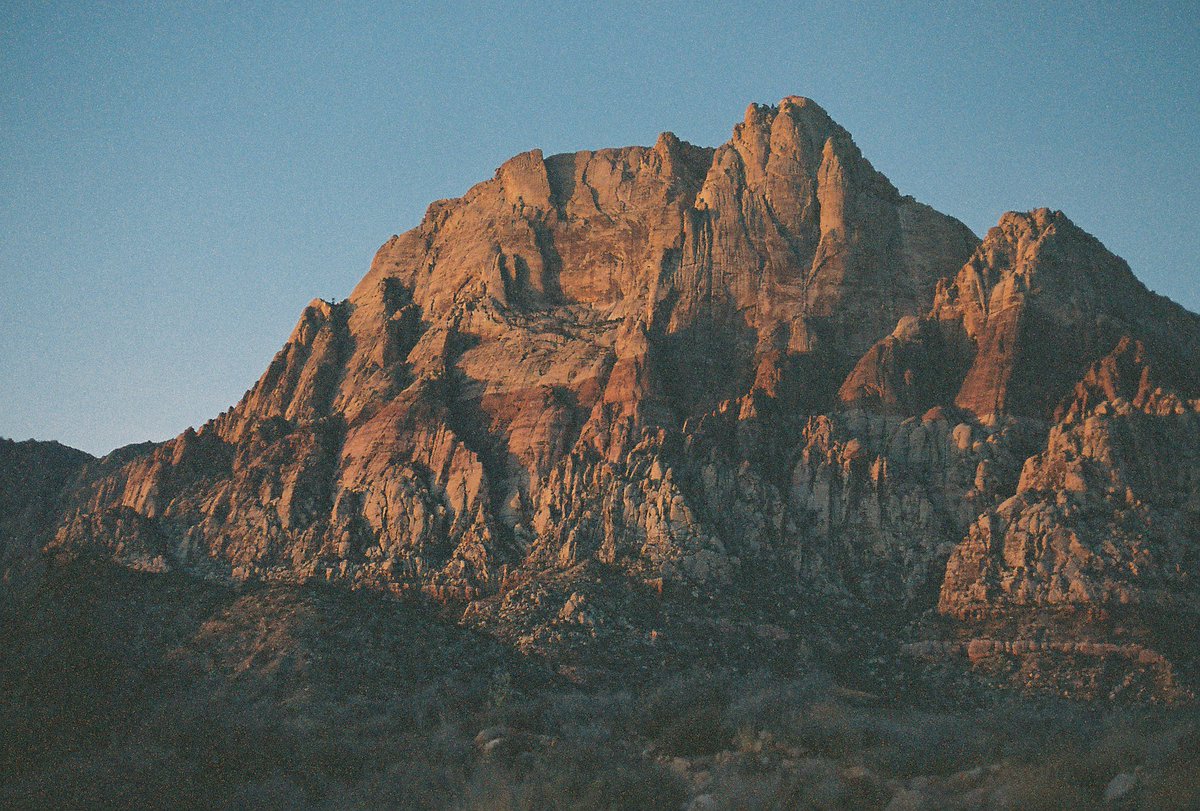 James Leder tweet media