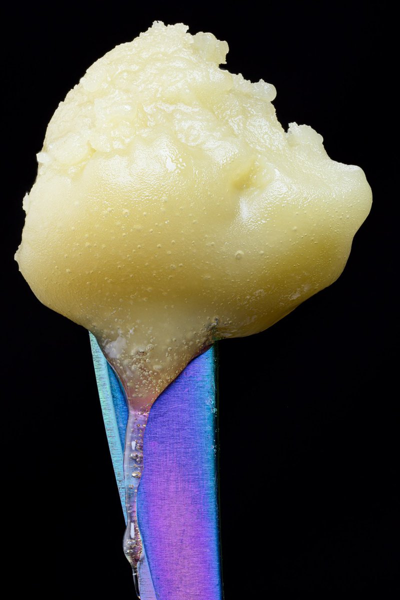 Terpshotzphotography tweet media