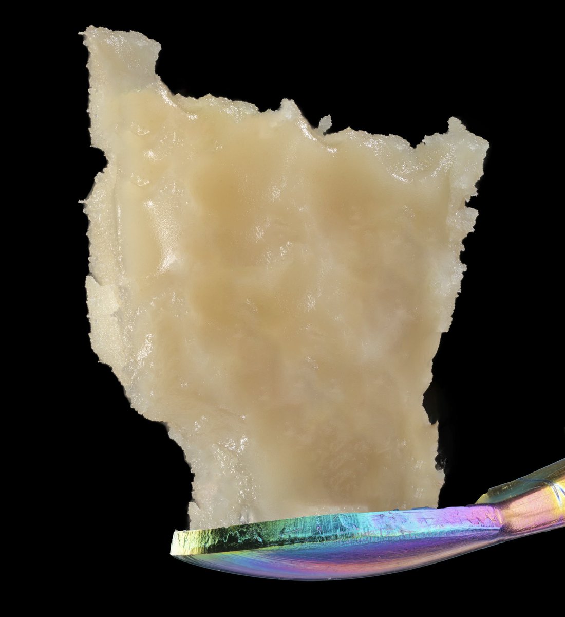 Terpshotzphotography tweet media