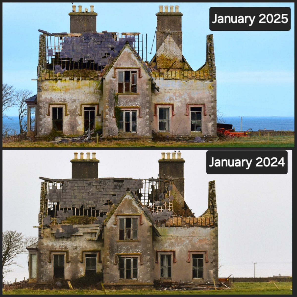 David Hicks tweet media