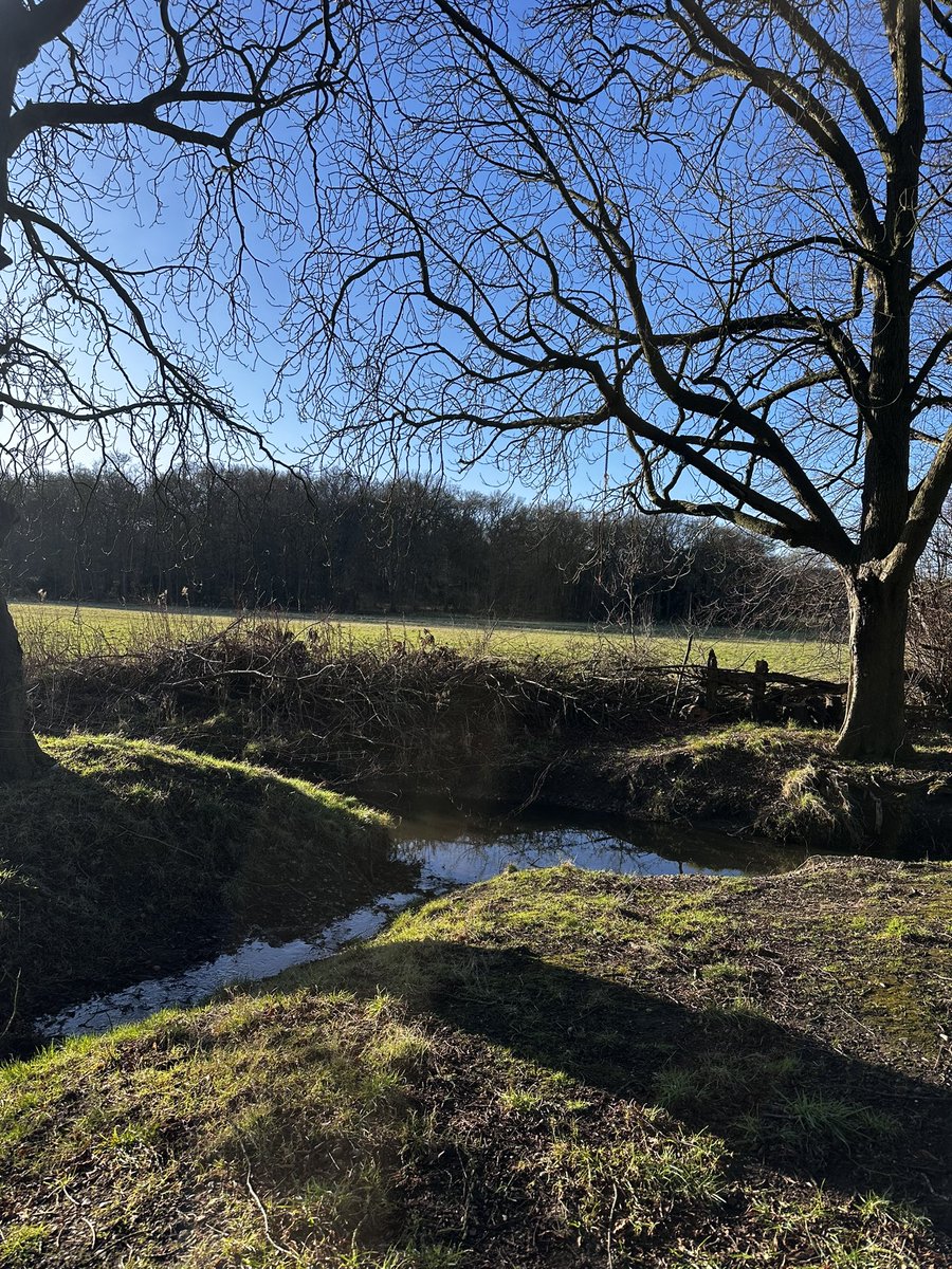 Maddie (she/her) tweet media