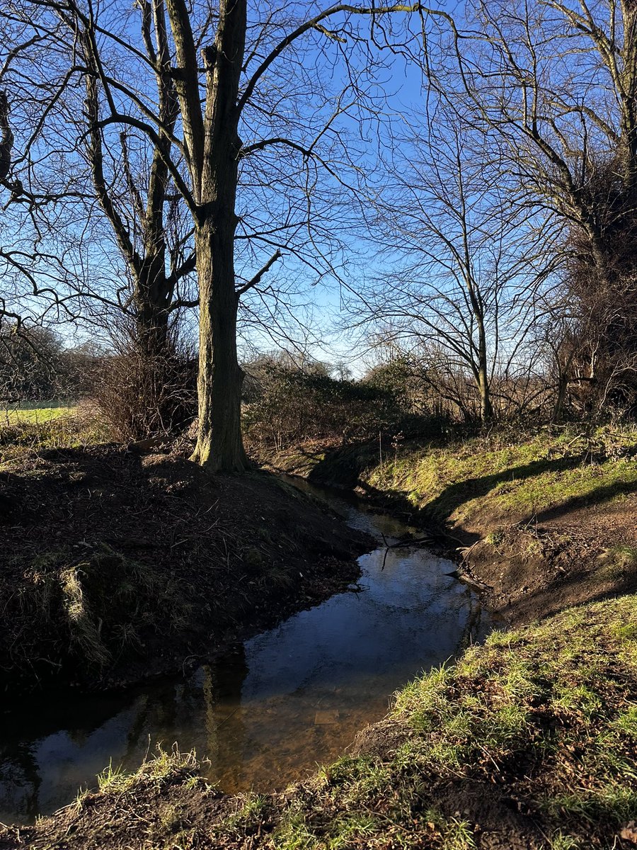 Maddie (she/her) tweet media