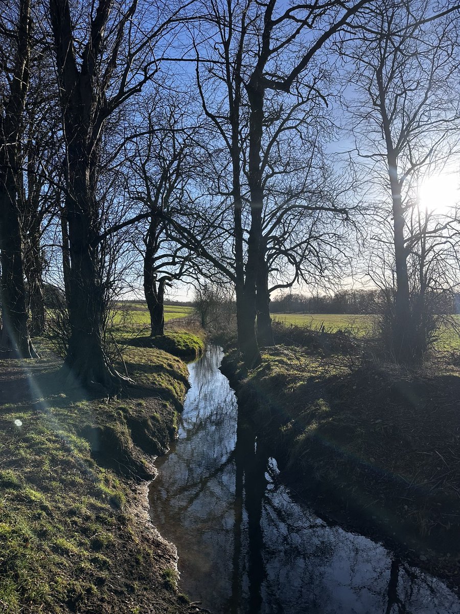 Maddie (she/her) tweet media