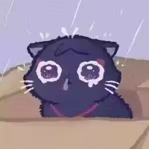 MARTYR_Raph tweet media