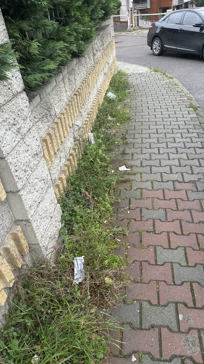 tuunayildirim's tweet photo. @onursaladiguzel @nasipetme İstanbul’un en kenar semtlerinden bile daha pis Ataşehir, İnönü Mahallesine de bakın arada, belediyenize  kaç kere şikayette bulundum. Kaldırımlar, sokaklar pislik içinde, Onursal Bey sosyal medyada şov değil iş yapın. Bir Chp’li olarak utanıyorum Ataşehir’in halinden https://t.co/gfOegvmx2F