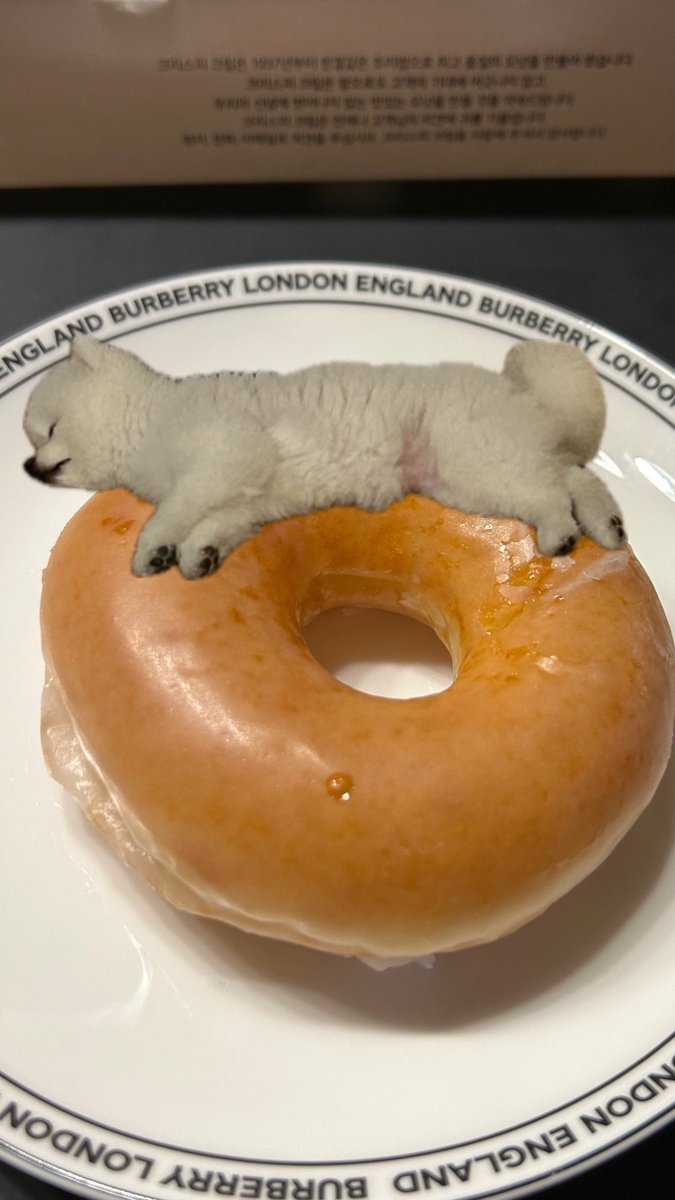 Oulia's tweet image. Bella likes mangoes too!