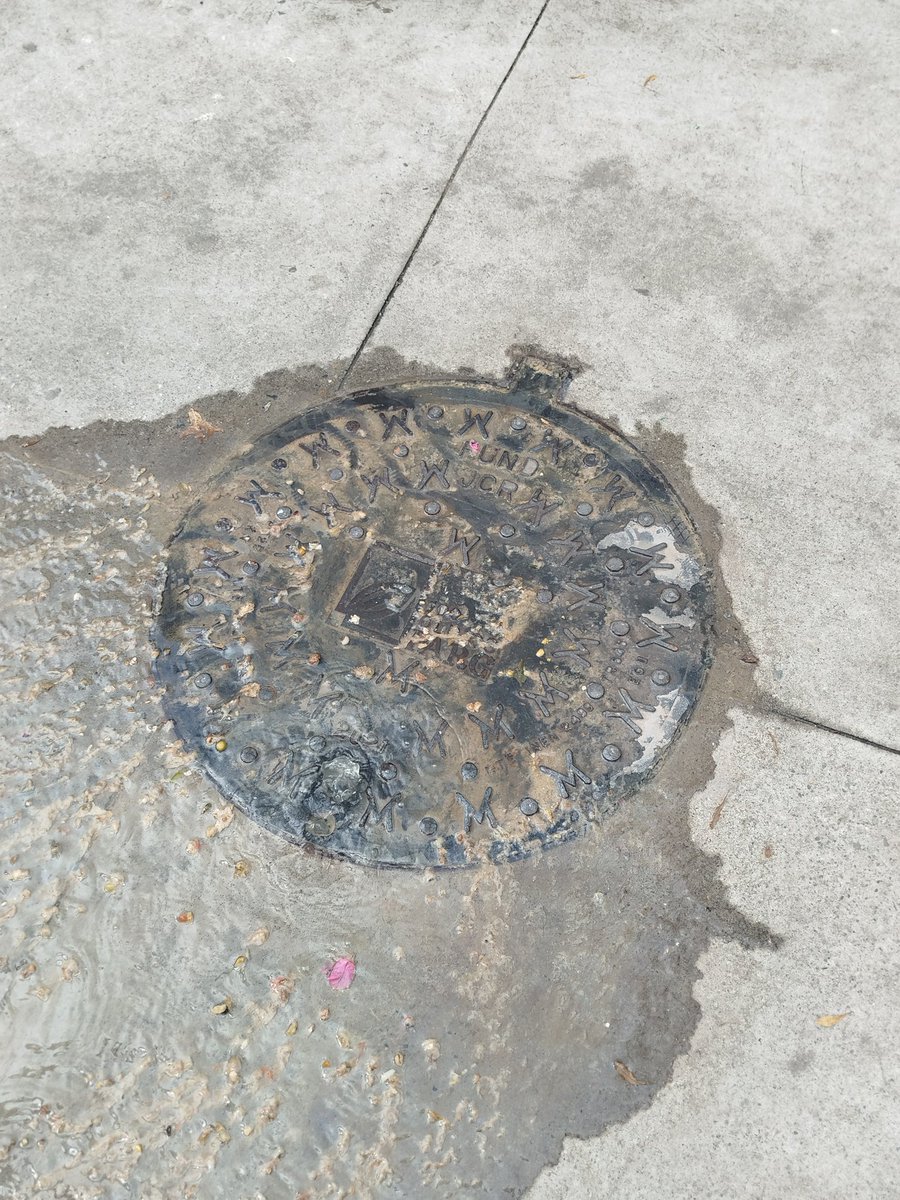 CarlosIdrovo's tweet photo. Rebosan aguas servidas en los bajos de 100 Olivos Parc https://t.co/j9azQDqHWh @alcaldiagye @interagua https://t.co/5LUwK9TjRd