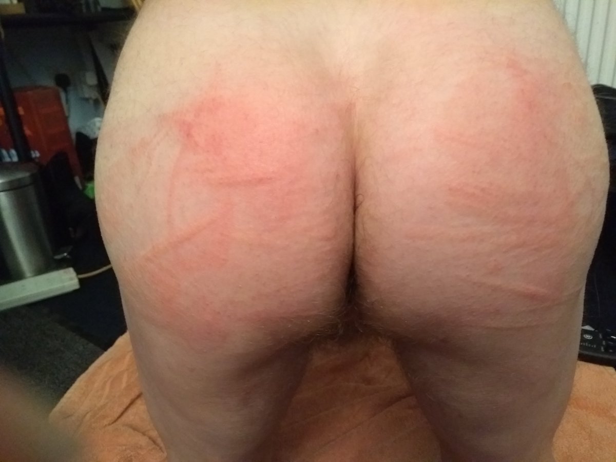 redassslave's tweet photo. A great day... thankyou mistress for the suffering, anything to please you. https://t.co/xXvFepQZ8x