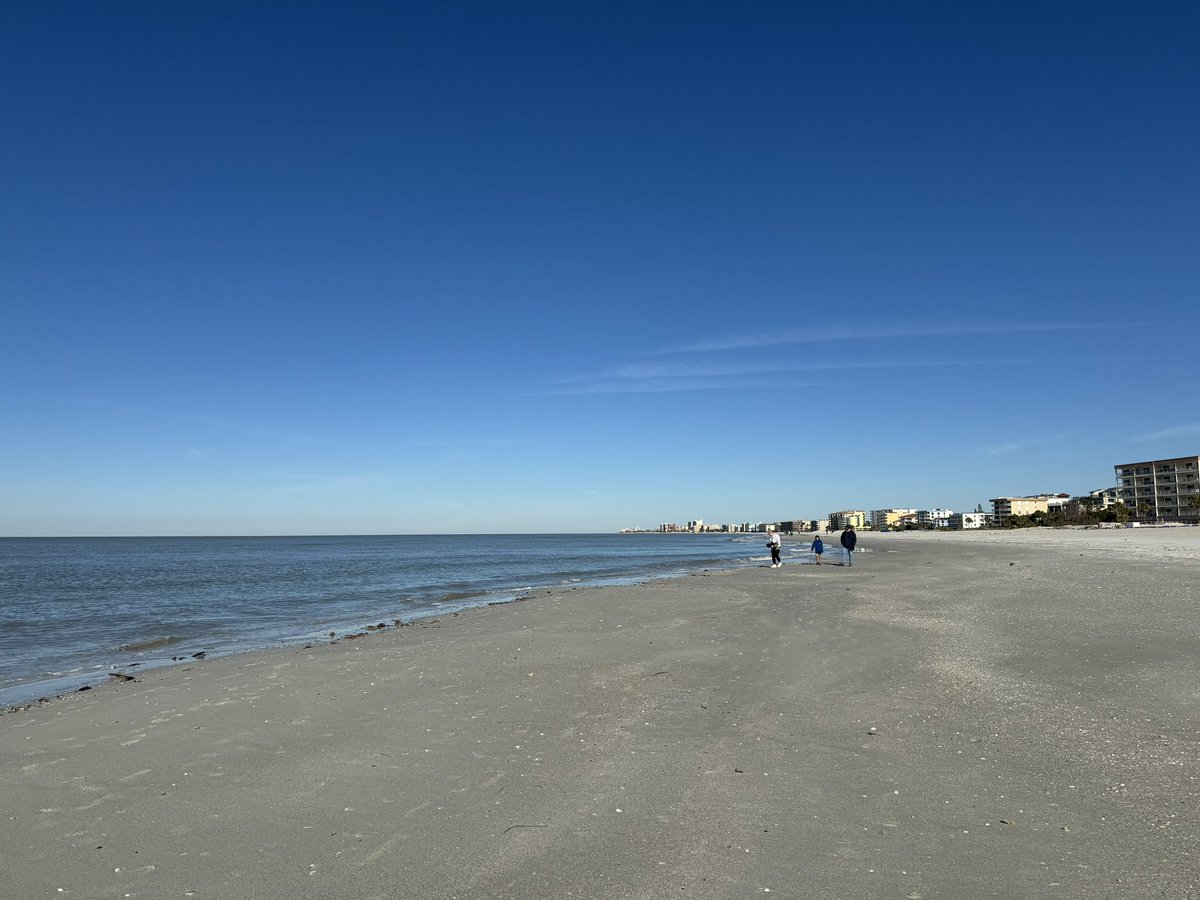 Britney Purser tweet media