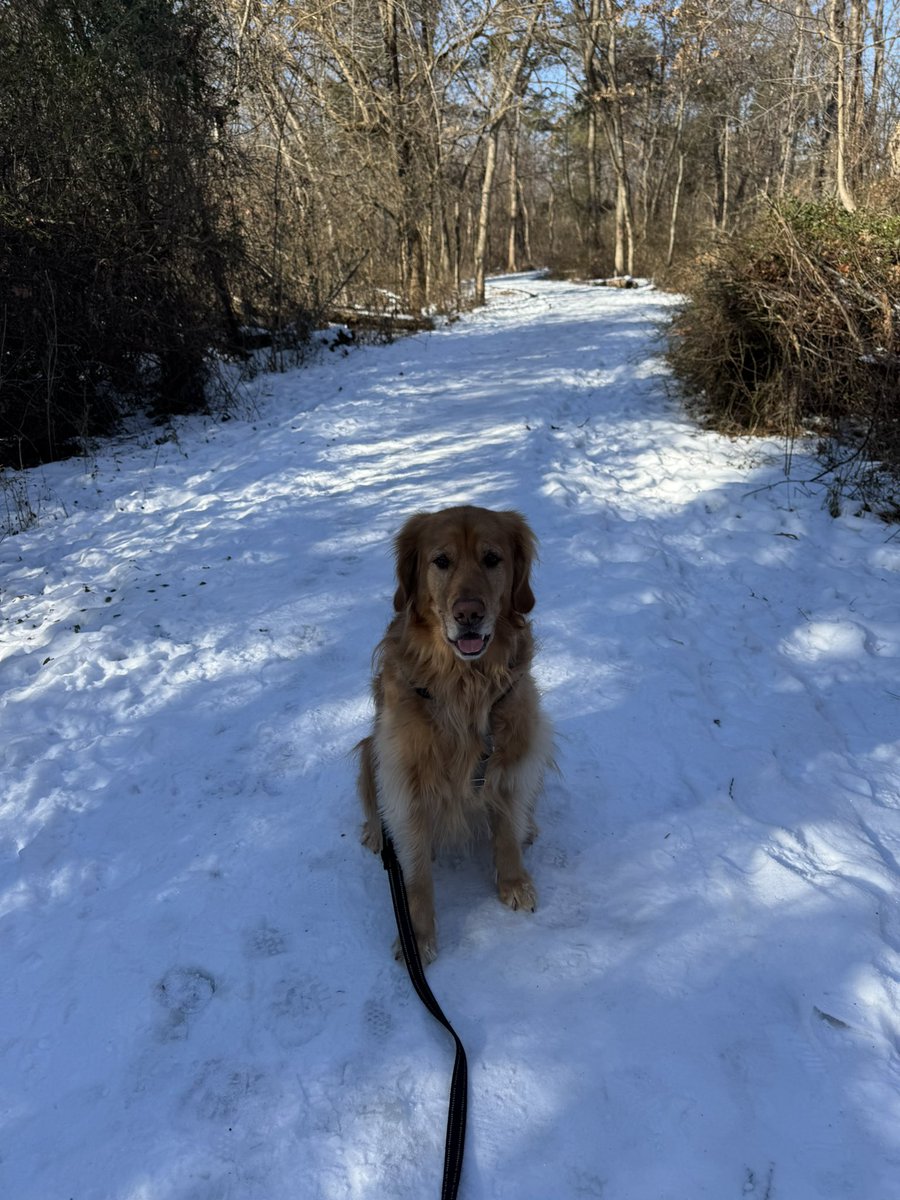 Probably the last morning of a snow depth >1” here in Ashburn. 

20 days in a row! 

Not bad for northern Virginia on only 11.8” of snow