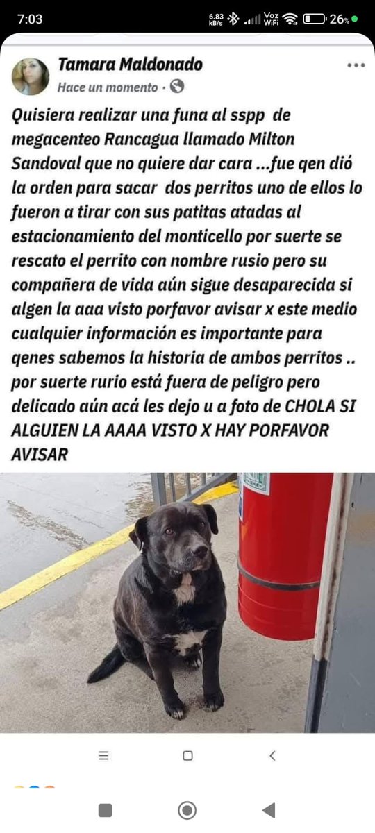 Andrés Pinto López tweet media