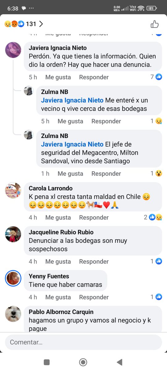 Andrés Pinto López tweet media