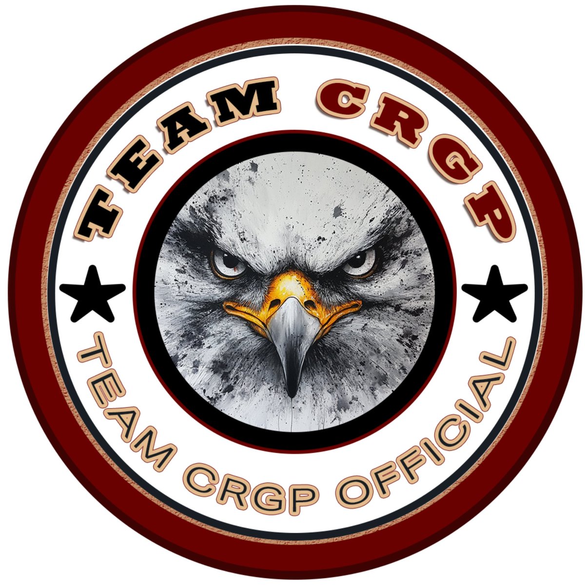 Team_CRGP_ Official ✨ tweet media