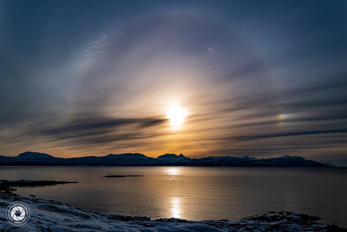 _naturewildlife's tweet photo. A celestial halo over Senja, Norway 🌞✨ This breathtaking phenomenon, caused by sunlight interacting with ice crystals, turned the Arctic sky into a masterpiece. Nature’s wonders are limitless!
#HaloEffect #NaturePhotography #SenjaNorway #ArcticMagic #WinterInTheWild https://t.co/X6ICOTUAKA