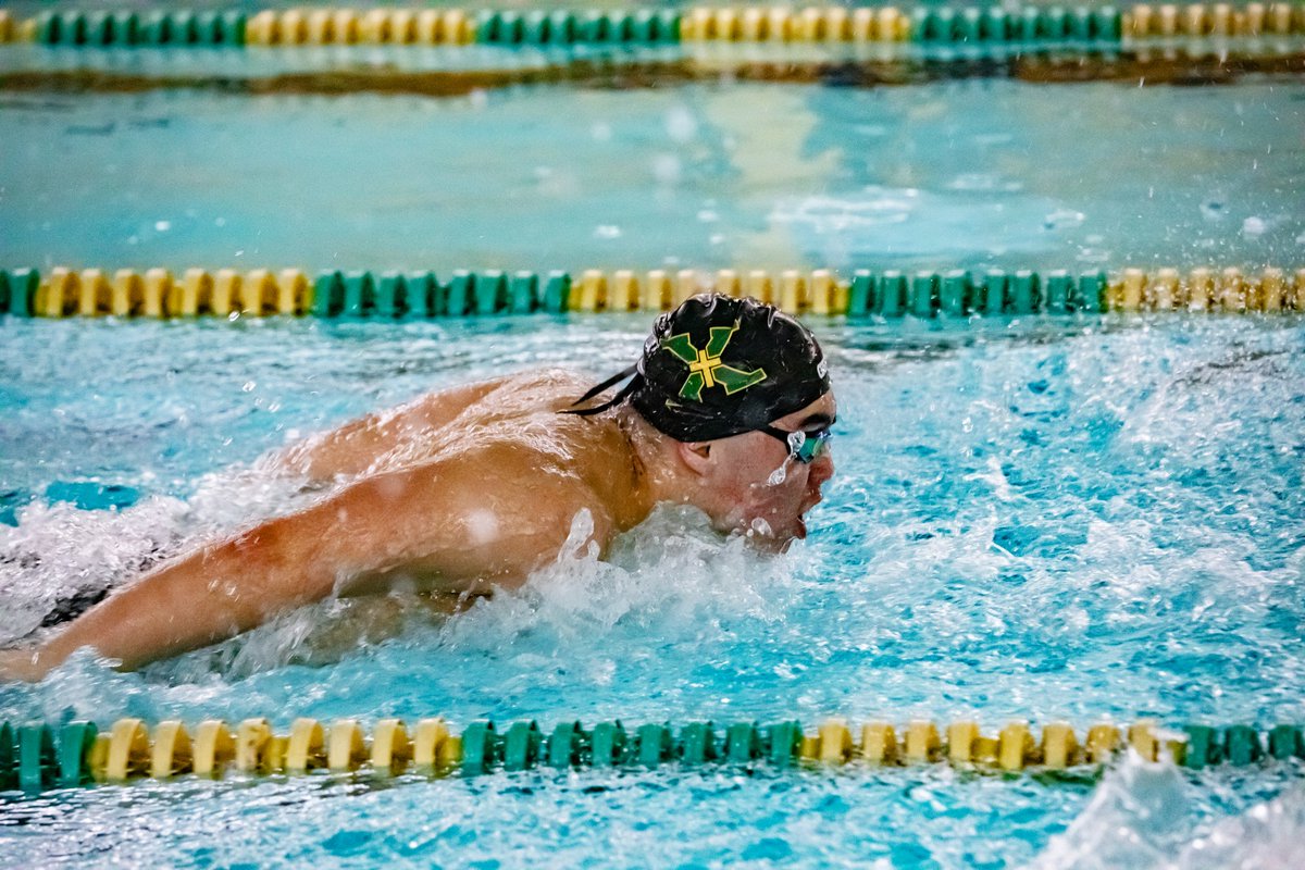 StXTigerSwim's tweet image. Some great shots (thanks @cdumstorf)of some great swims to kick off Regionals last night... some FAST stuff on the horizon tonight at UofL!

#tigersonthewarpath  
#chipscam