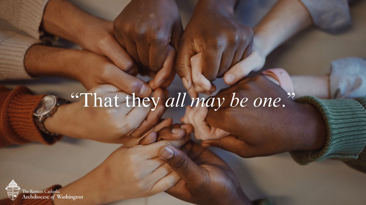 WashArchdiocese's tweet image. As the Week of Prayer for #ChristianUnity comes to a close, it is important to remember that this week is set aside for us to contemplate Jesus' prayer at the Last Supper "that they all may be one." We pray that all Christians continue to move toward the fulfillment of Jesus'