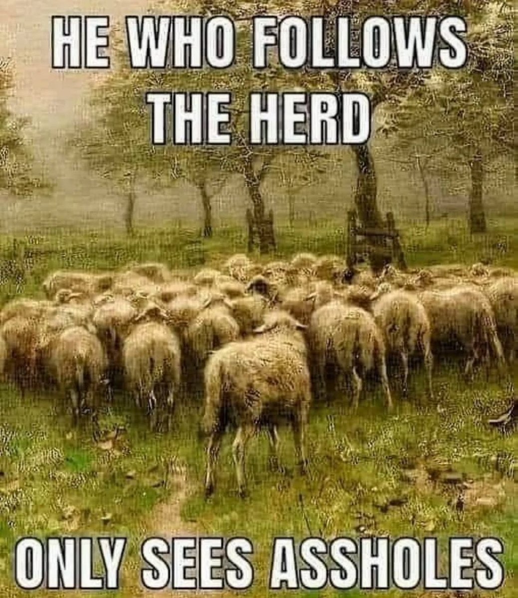 Kobus Wiese (@4kobuswiese) on Twitter photo 