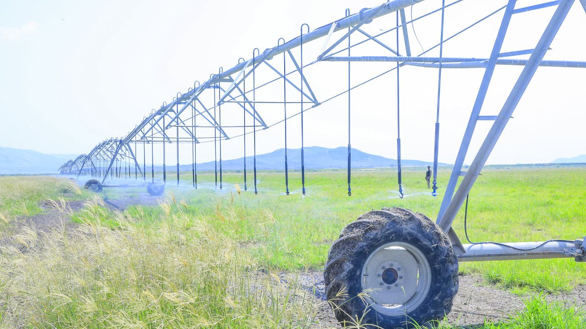 Awel Arba tweet media