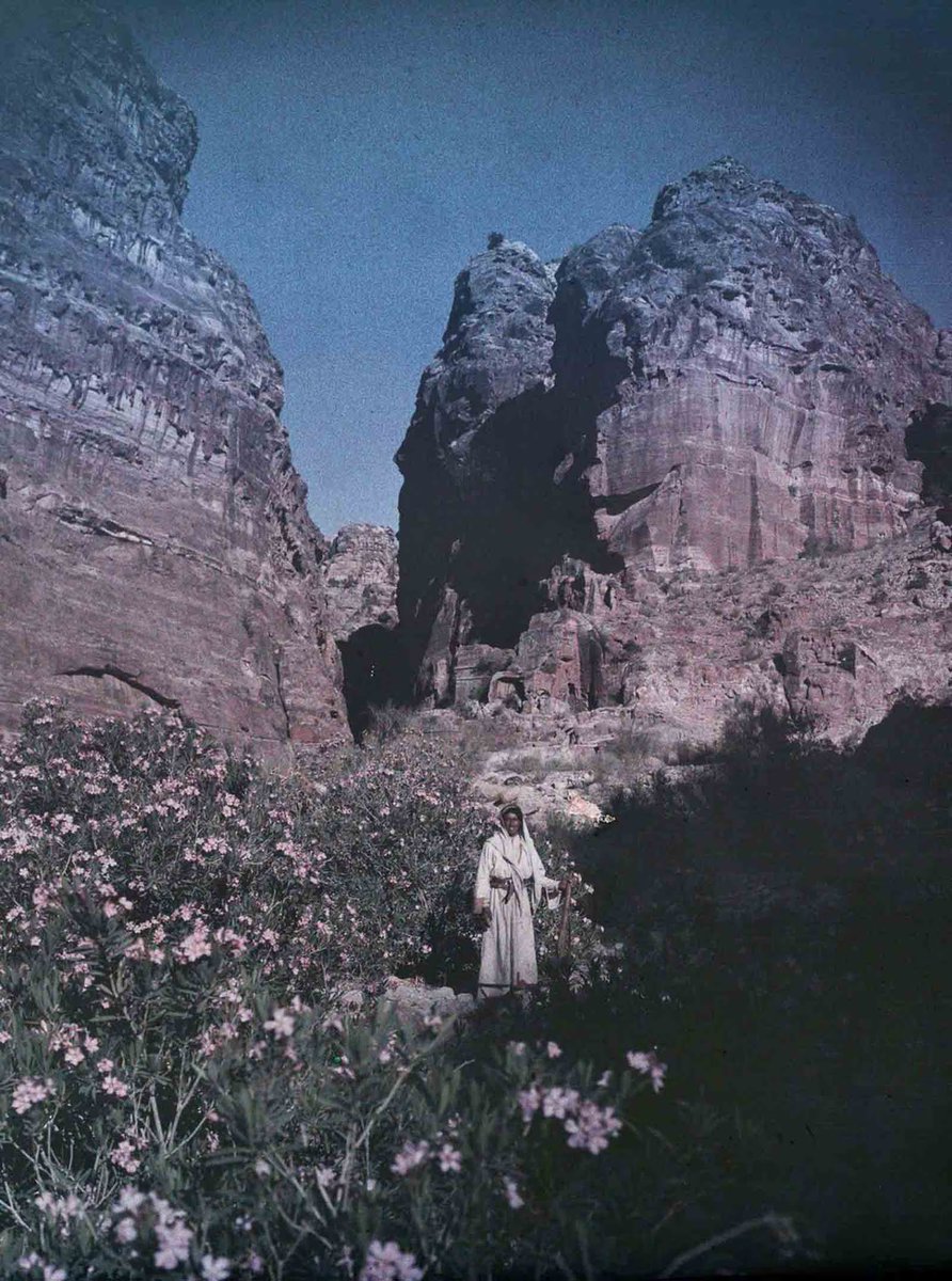 nativethreadsco's tweet photo. A local Arab man surrounded by Petra Oleanders flowers in bloom c.1930s https://t.co/xpYWl4BnYQ