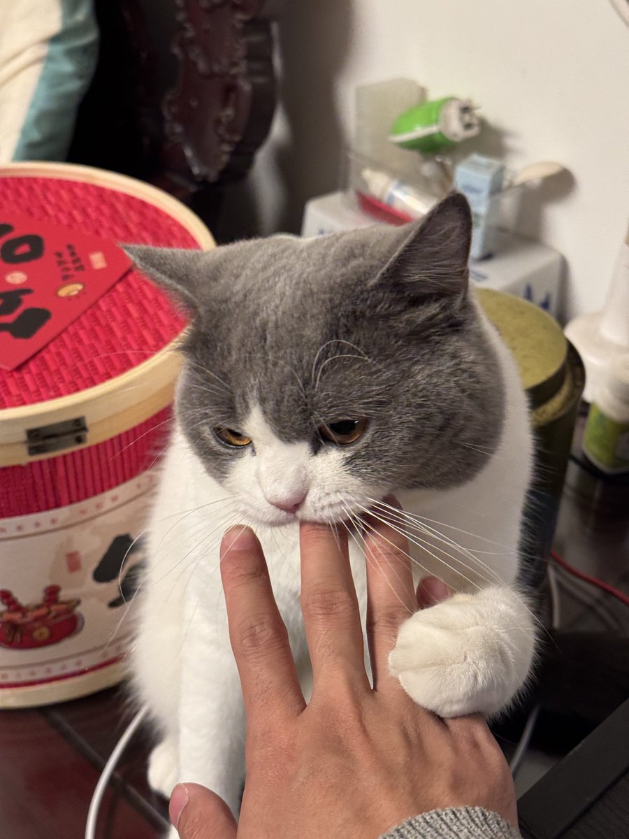 回家干的第一件事😌