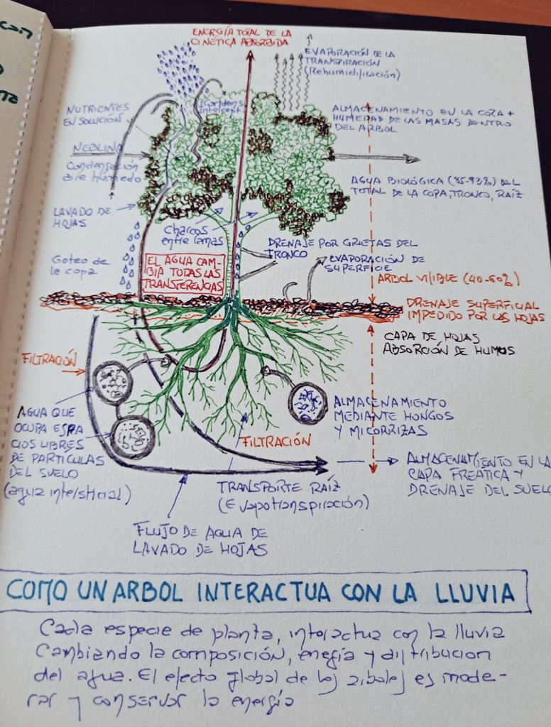 Cuando un alumno te enseña su cuaderno de  botánica y se te caen lágrimas de emoción