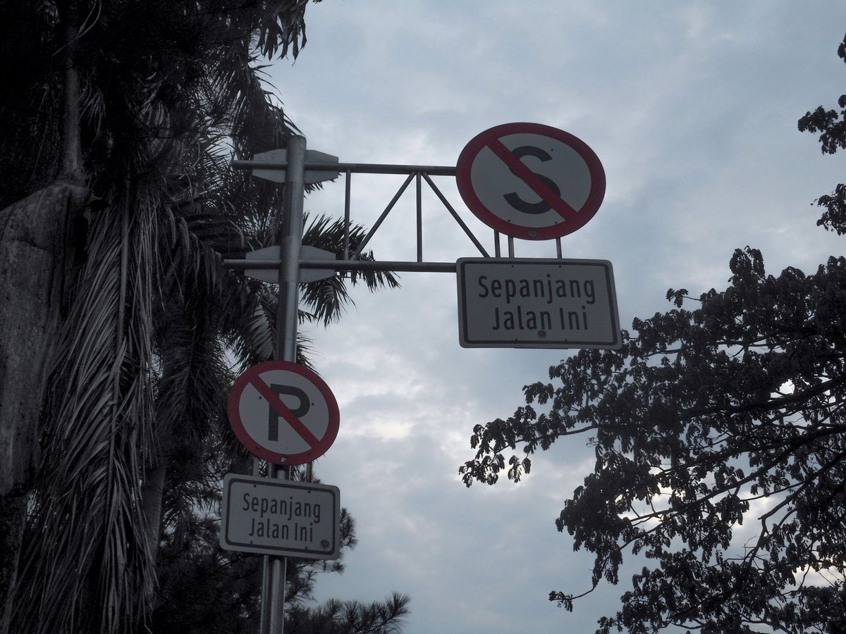 umamdante's tweet photo. Yang tetap tumbuh 

#nikon
#nikoncoolpixs3700 https://t.co/N2QuHr6sY8
