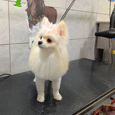 akcyld's tweet photo. #YeniProfilResmi https://t.co/WaK2bNRFYV