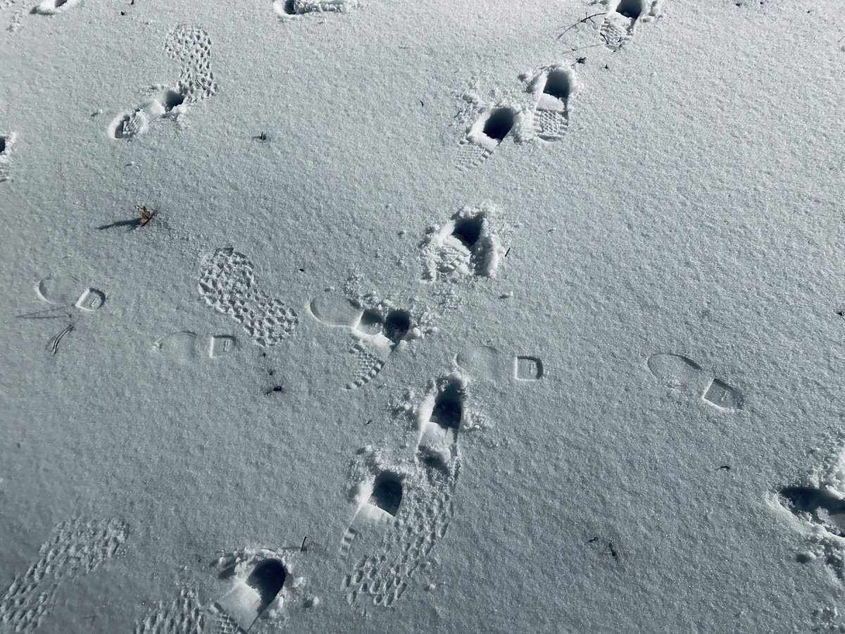 Footprints in the snow...
We recently had snow in the South, which was a first for my sons. We played outside, built a snowman and enjoyed this rarity as all kids would

As the snow started to melt, I found a set of our footprints, already fading and it put a knot in my throat...