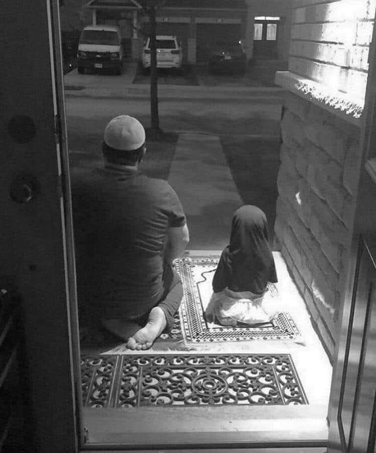 naqa925's tweet photo. "وإذا رأيت الفرعَ مُثمر فأعلم أن الجذور أصيلة". https://t.co/xaW7ZrUxK7