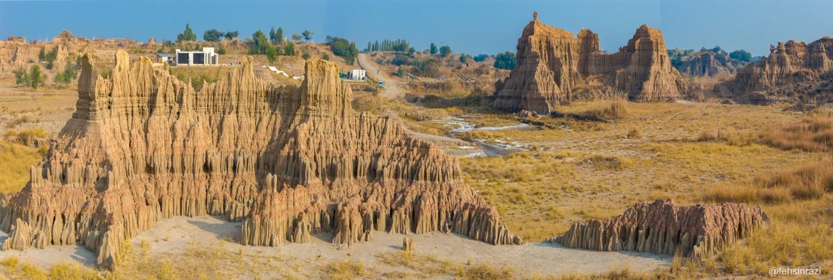 Mausum Mahool Protection Foundation tweet media