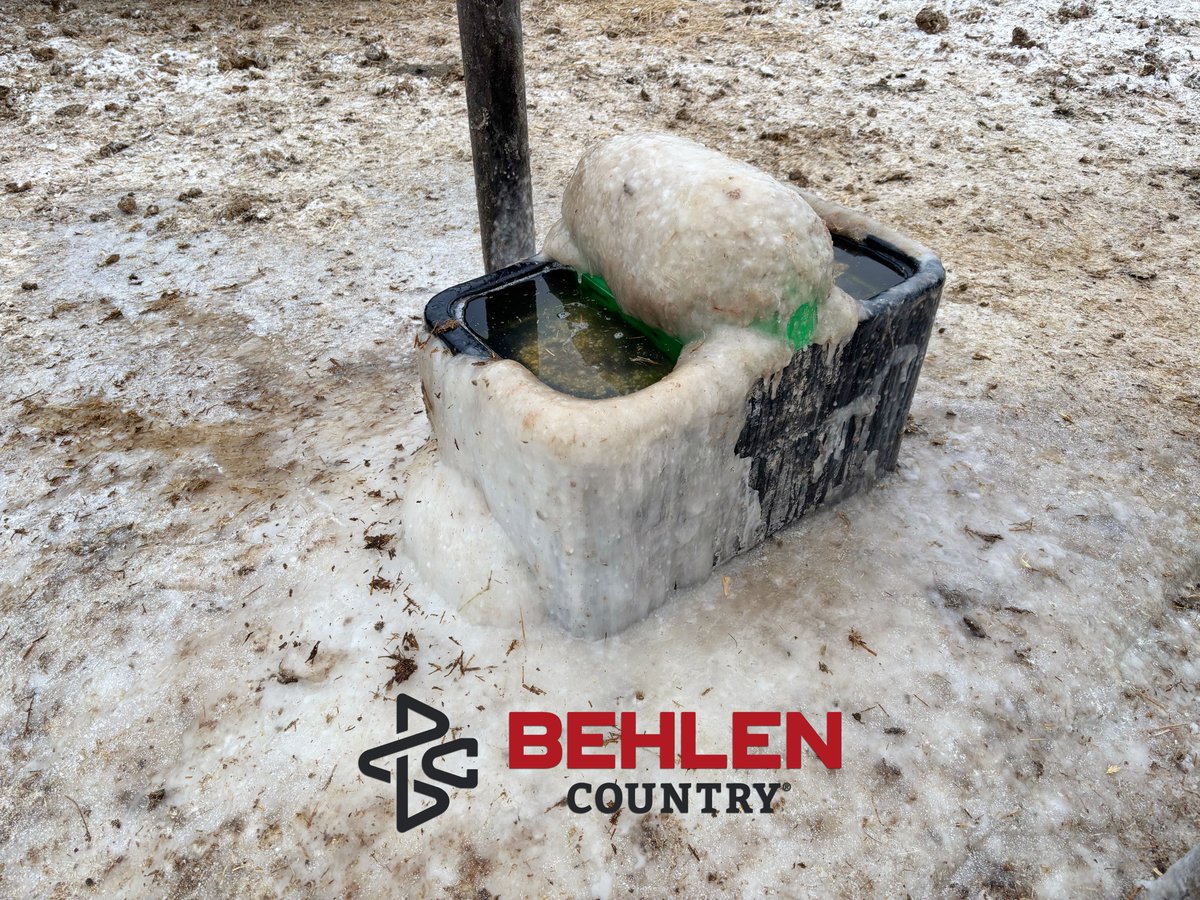 BehlenCountry's tweet photo. Our Electric HydroStations are powering through the -18ยบF temperatures of Northern Michigan with ease. A big thank you to Nevill Farms for sharing!
#BehlenCountry #BuildingYourLegacy #FarmLife #RanchLife #AcreageLife https://t.co/gPvF1UbOzS