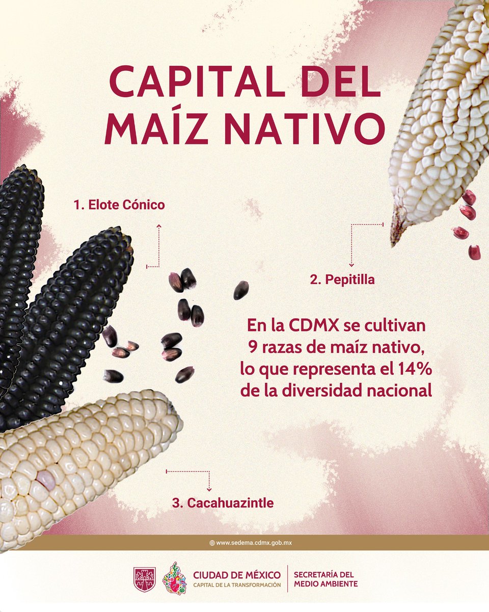 Secretaría del Medio Ambiente tweet media