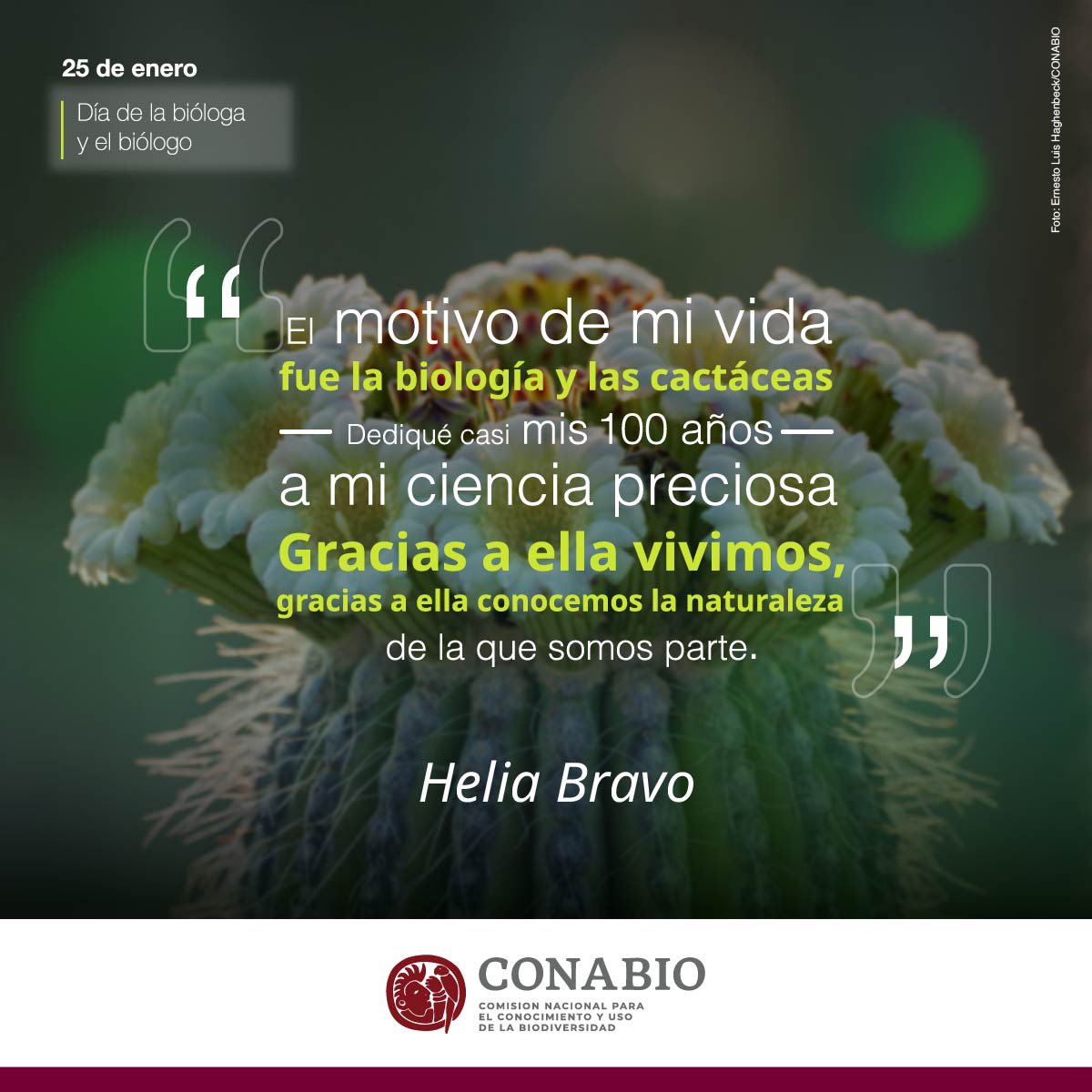 CONABIO's tweet photo. ¡Feliz Día de la Bióloga y el Biólogo en México!

Nuestro reconocimiento al importante trabajo que realizan para entender y conservar nuestra biodiversidad.

#BiodiversidadMexicana #DíaDelBiólogo #PasiónPorLaNaturaleza https://t.co/8pvVzHs9vD