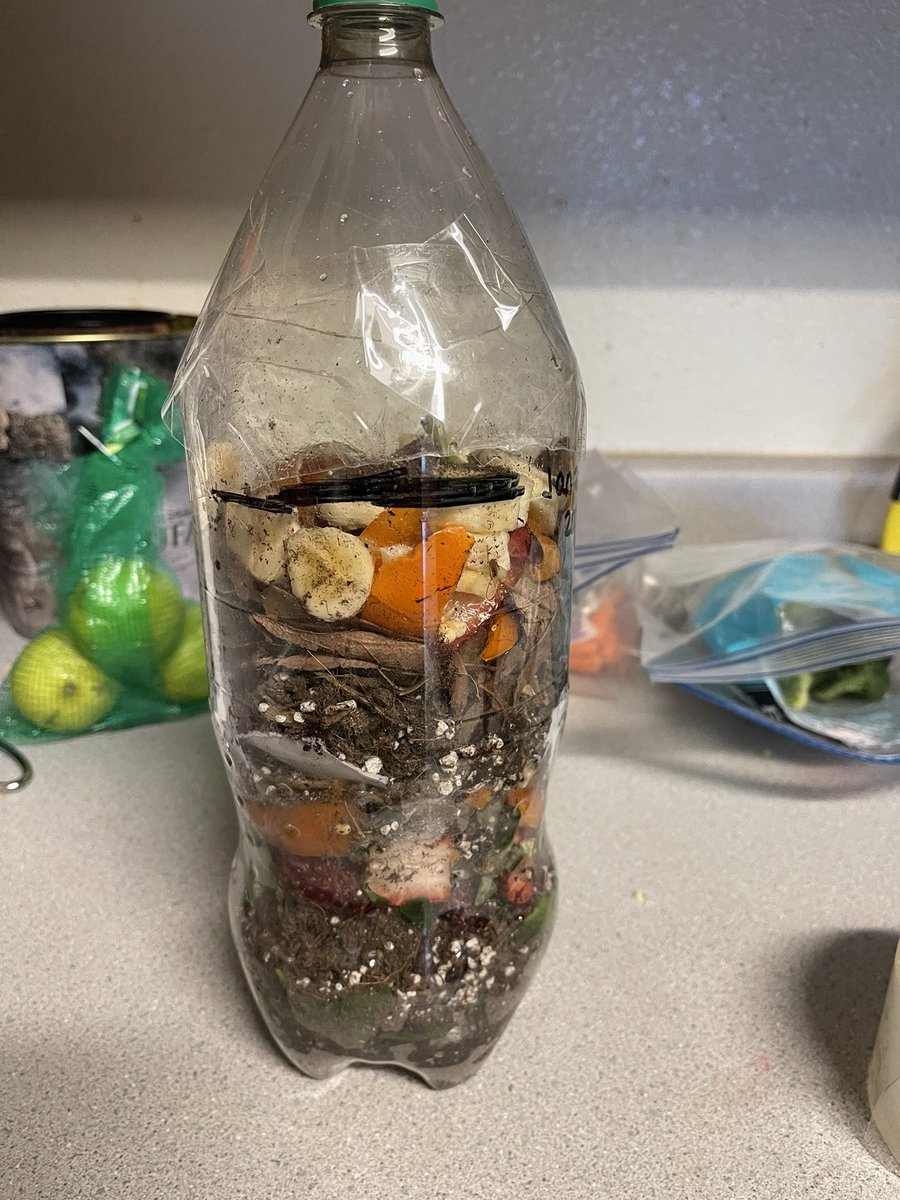 melissa cruz (@melissacruz2017) on Twitter photo Made a compost bottle for my soil scientists. Let’s see what they learn over the next couple of months. <a href="/PeralesESchool/">Perales STEAM Elementary School</a> Made a compost bottle for my soil scientists. Let’s see what they learn over the next couple of months. <a href="/PeralesESchool/">Perales STEAM Elementary School</a>