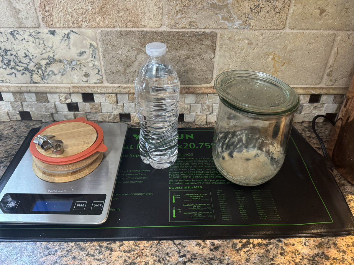 MeghanReckling's tweet photo. Mabel is here! Day 1 of our sourdough adventure toward self-sufficiency and breaking away from insanely processed grocery store breads. 

Let’s do this! 🤞#Sourdough #Homsteading #Homemade https://t.co/3dUKeuHRZe