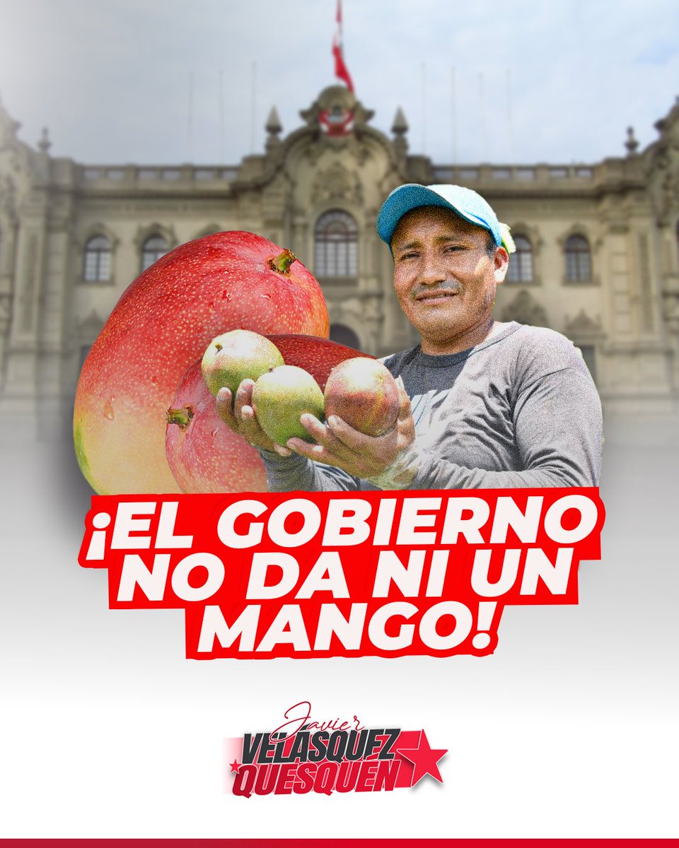 JVelasquezQ's tweet photo. Es indignante que mientras los agricultores de Lambayeque luchan por sobrevivir, el Gobierno pierda tiempo en absurdos y el Congreso siga enfocado en temas irrelevantes. ¿Cómo es posible que toneladas de mangos, símbolo de nuestra región, terminen abandonadas o regaladas mientras miles de familias se hunden en deudas? Esto refleja el total abandono del agro por parte de las autoridades.

#JavierVelasquezQuesquen #MangosDeLambayeque
#CrisisAgraria #AgriculturaEnCrisis
#ApoyoAlAgro #FaltaDeCompromiso
#MangosAbandonados #S.O.SAgricultura #CrisisDeLosMangos
#AgricultoresPeruanos #LambayequeEnLucha #LaCosechaOlvidada #DesgobiernoAgrícola