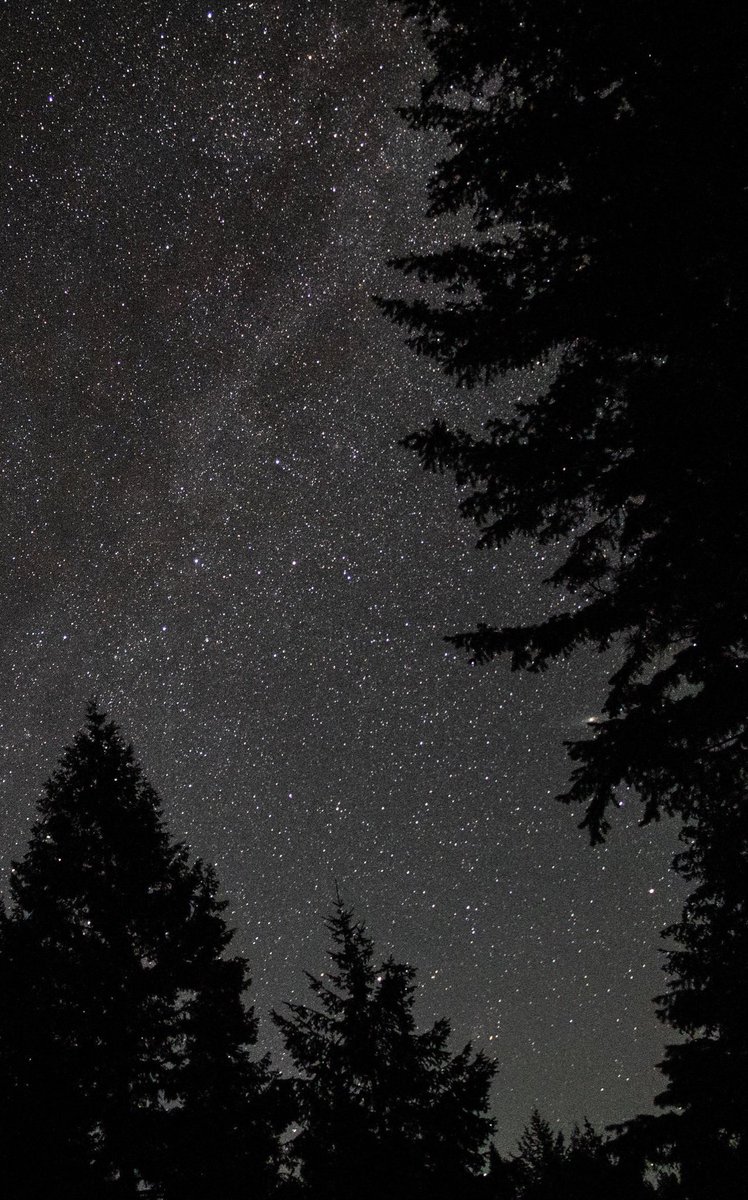 earthcurated's tweet photo. — so many stars ✨ https://t.co/wnWGL1n5W9