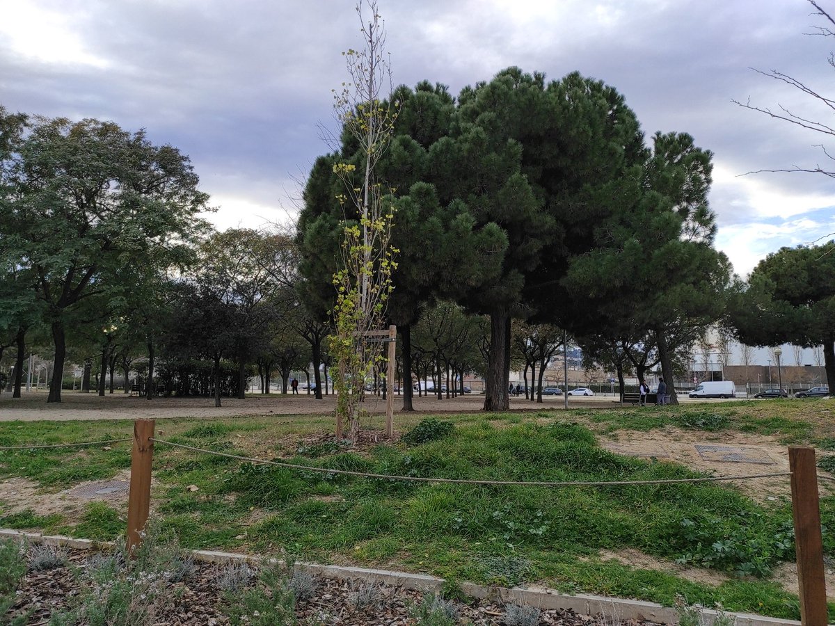 unmarde's tweet photo. @scgramenet Al Parc de Can Zam ara mateix fa molta pudor. D'alguna indústria? https://t.co/FjLgqu68cd