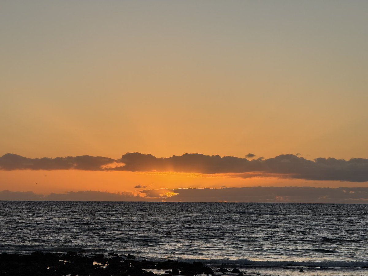 KevyKev (@kevvykev21) on Twitter photo 