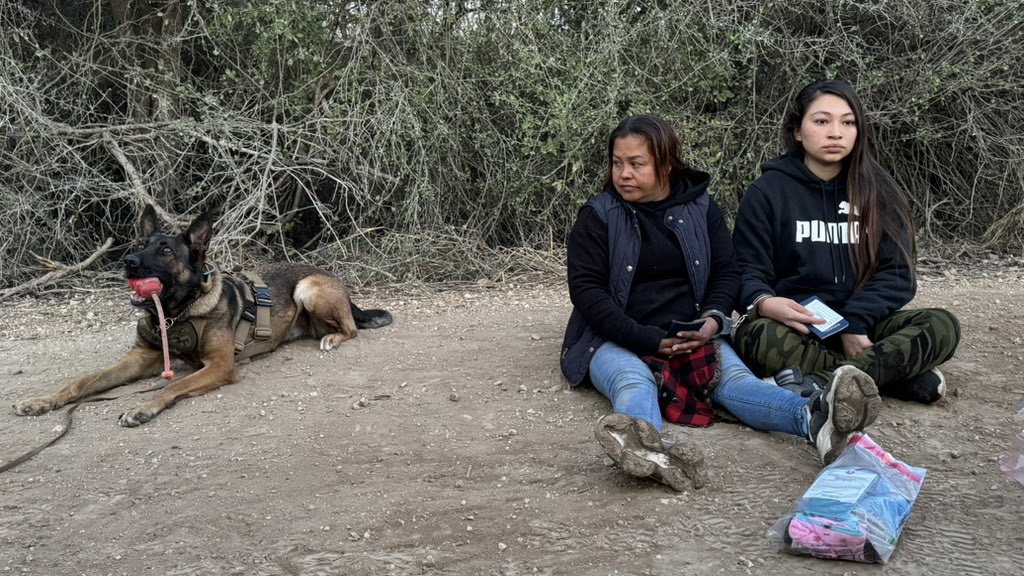 This morning, <a href="/TxDPS/">Texas DPS</a> K9 Fibi &amp; her handler tracked &amp; found two female illegal immigrants left abandoned by a smuggling guide in Mission #RGV. The two females, from Honduras &amp; El Salvador, were referred to #USBP. 

The number of illegal border crossings between the ports of entry