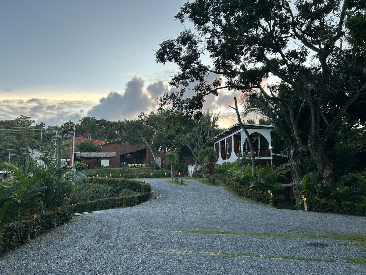 Niklas Anzinger 📍 Infinita tweet media