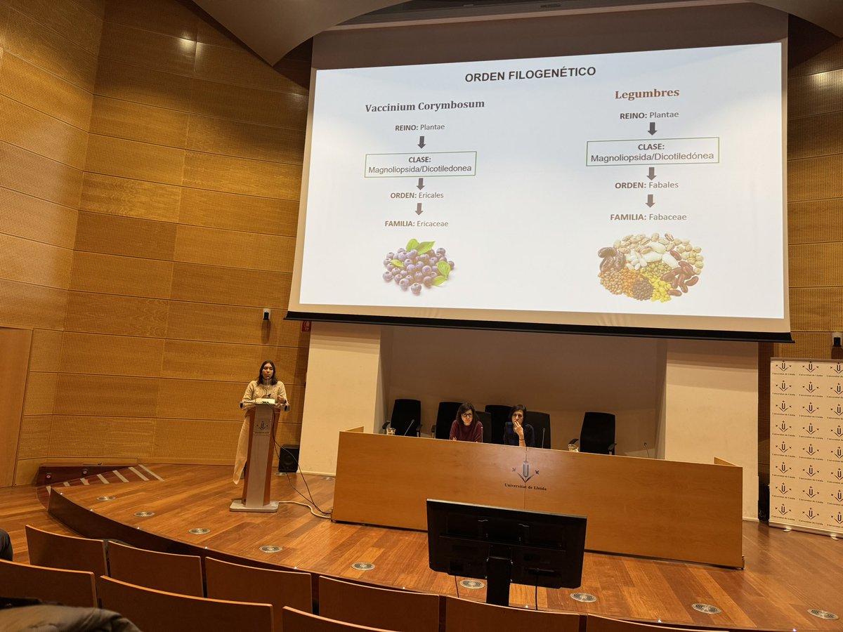 Primer premi a la millor comunicació del #matial·lergologic de la <a href="/scaic_cat/">SCAIC</a> presentada per la nostra R2, Catalina Moreno de <a href="/allergoalthaia/">Al·lèrgia Althaia</a>. Un treball molt ben presentat fruit d’un molt bon treball de tot l’equip 🥇👏🏻🤗<a href="/althaiamanresa/">Fundació Althaia</a> <a href="/magagimenezlili/">Magalí Giménez</a> <a href="/SEAIC_Alergia/">SEAIC</a> #MIR