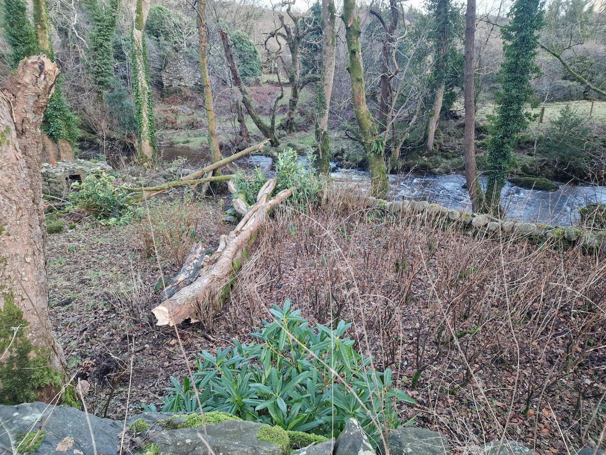 Glasgow Botanic Gdns (@glasgowbotanic) on Twitter photo Good afternoon. There are a lot of trees down around <a href="/GlasgowBotanic/">Glasgow Botanic Gdns</a> and along the Kelvin Walkway especially near the <a href="/GlasgowPenguins/">The Penguins In The Wall</a>. These trees have been reported to <a href="/GlasgowCC/">Glasgow City Council</a> . Be very careful around fallen trees and watch out for path closures. Good afternoon. There are a lot of trees down around <a href="/GlasgowBotanic/">Glasgow Botanic Gdns</a> and along the Kelvin Walkway especially near the <a href="/GlasgowPenguins/">The Penguins In The Wall</a>. These trees have been reported to <a href="/GlasgowCC/">Glasgow City Council</a> . Be very careful around fallen trees and watch out for path closures.