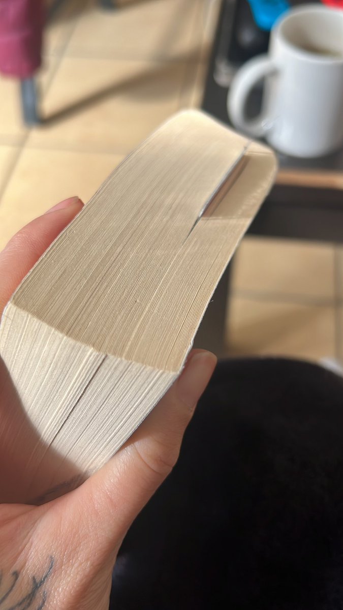 Me quedan 6 días para terminar este libro, ¿lo lograré?