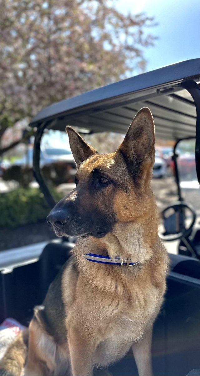 Jared Reinke tweet media