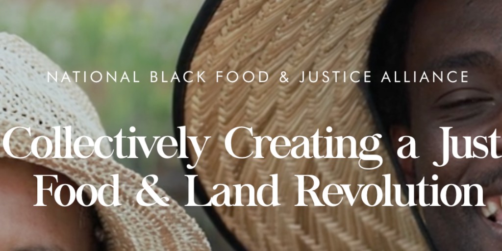 "Land is the basis of all independence. Land is the basis of freedom, justice, and equality."

Explore how <a href="/NBFJA/">National Black Food & Justice Alliance</a> supports Black leadership, organizing for Black self-determination, and building institutions for Black food sovereignty and liberation. blackfoodjustice.exposure.co