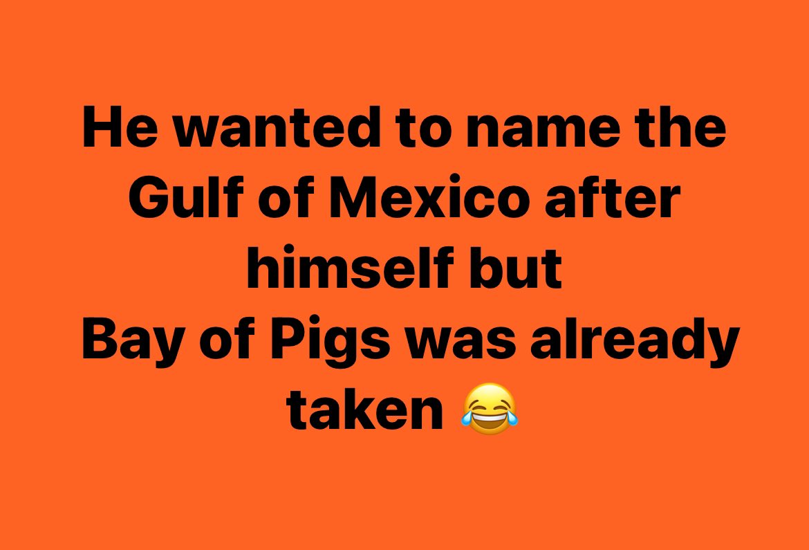 <a href="/bluhue123/">A</a> It is still the Gulf of Mexico, clearly illustrating the delusional mind and brainless hatred which Donald Trump lives in every single day. Trump is a moron, plain and simple. He is a pig.